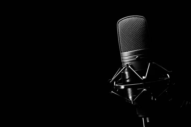 Studio-Condenser-Microphone