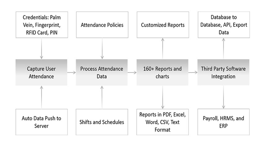 Time Attendance System Data Processing Steps