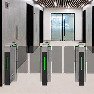 Biometric Turnstile System